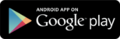 Google Play Store icon